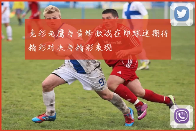 竞彩老鹰与黄蜂激战在即球迷期待精彩对决与精彩表现