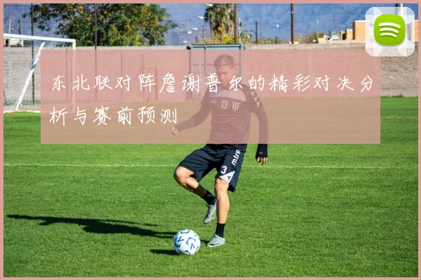 东北联对阵詹谢普尔的精彩对决分析与赛前预测