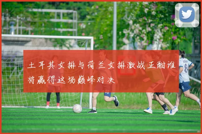 土耳其女排与荷兰女排激战正酣谁将赢得这场巅峰对决